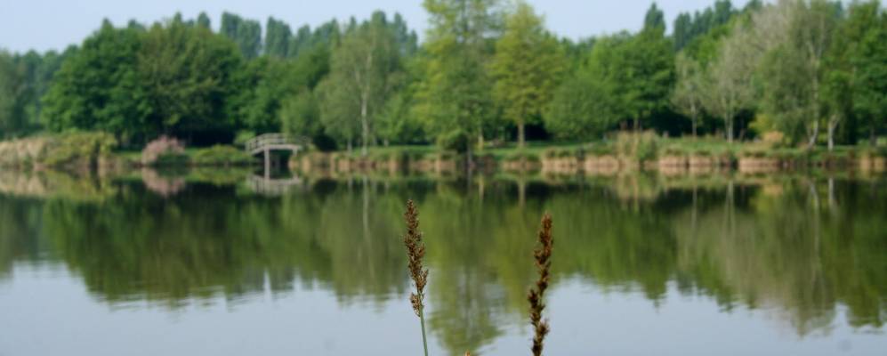 
            Фотография Карантуара