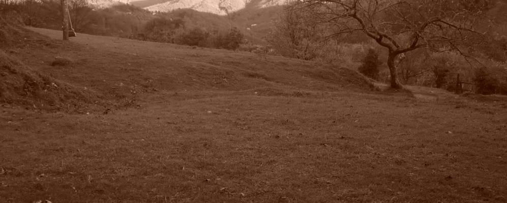 Фотография Тавароне