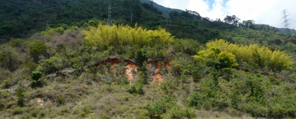 
            Фотография Лос Дос Каминоса