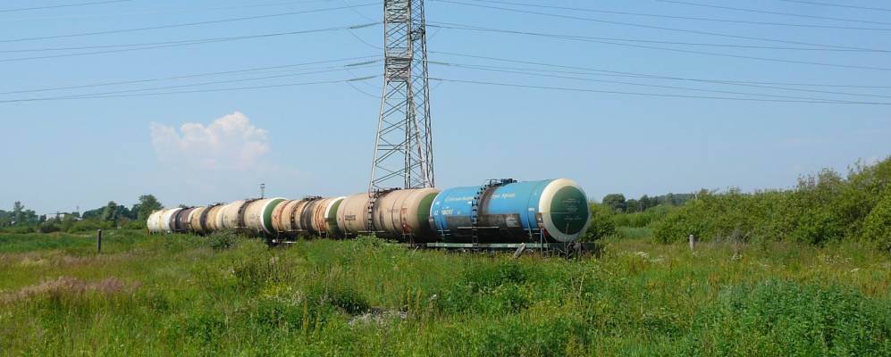 
            Фотография Кудьмы