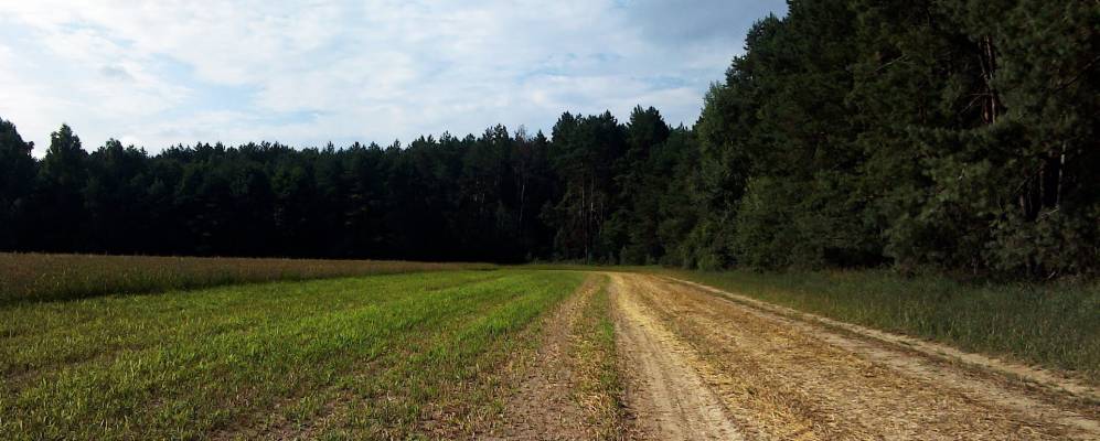 
            Фотография Никольска