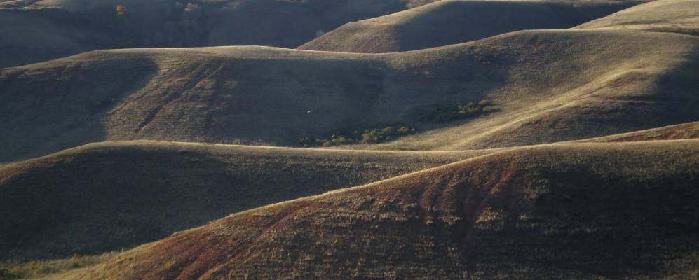 
            Фотография Новой Жизни