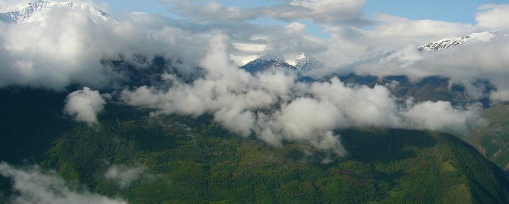 
            Фотография Читля