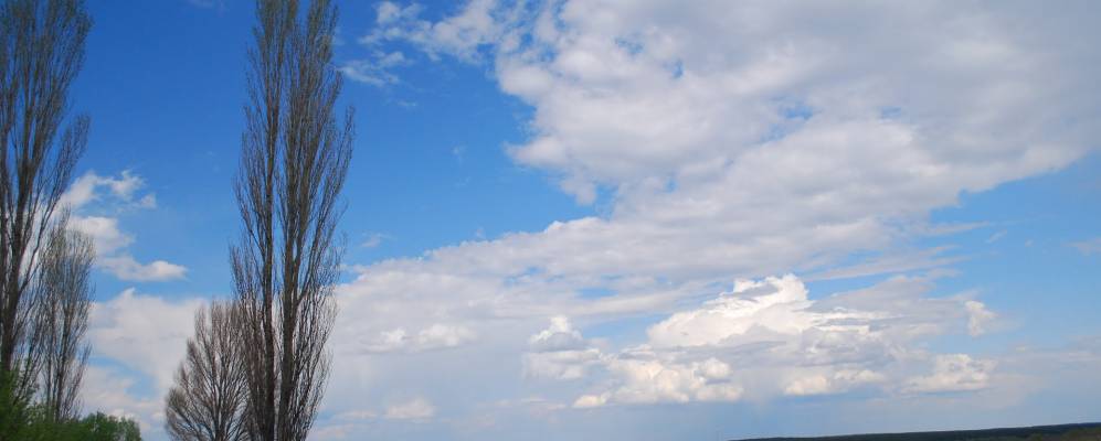 
            Фотография Гостинцово