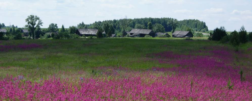 
            Фотография Ванеево