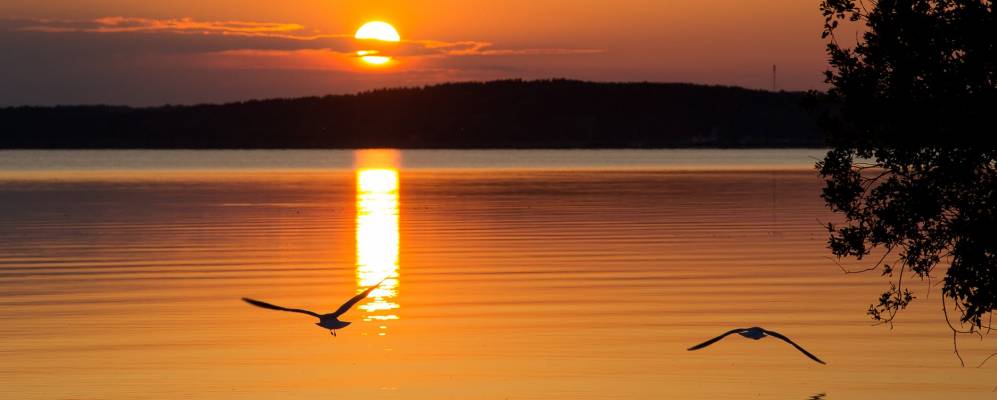 
            Фотография деревни Вязки