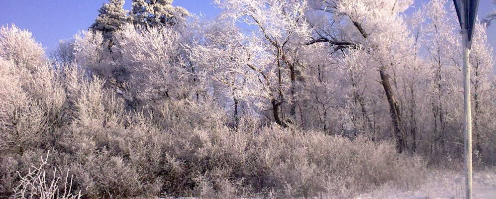 
            Фотография Любимовки