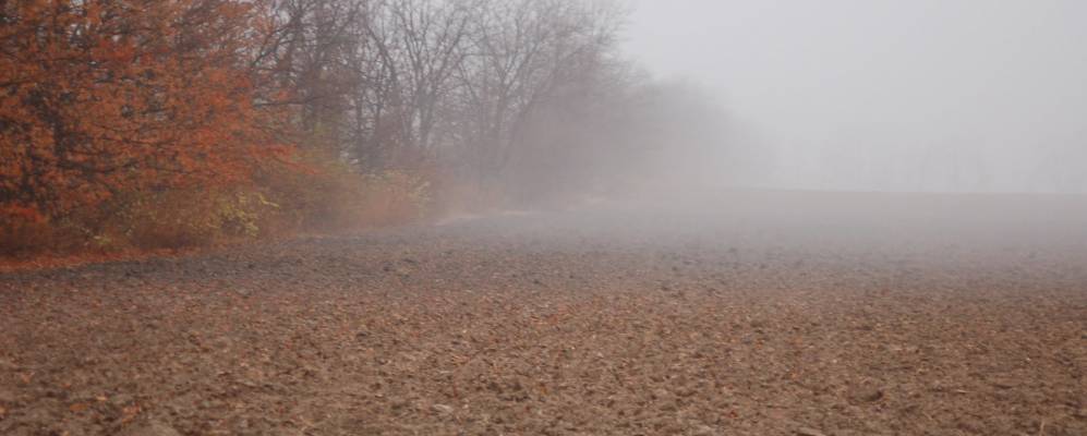 
            Фотография Нью Вителанда