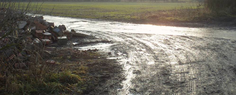 
            Фотография Кимберли