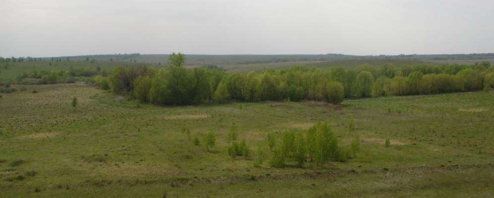 
            Фотография Спасского