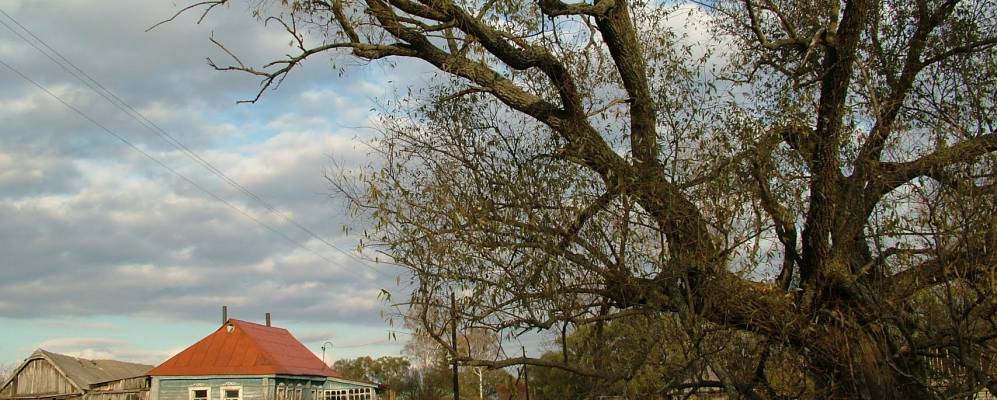 
            Фотография Воротцов