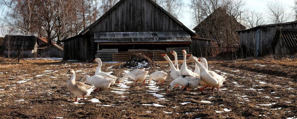 
            Фотография Кишаново