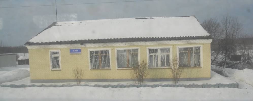 Фотография Кулиги