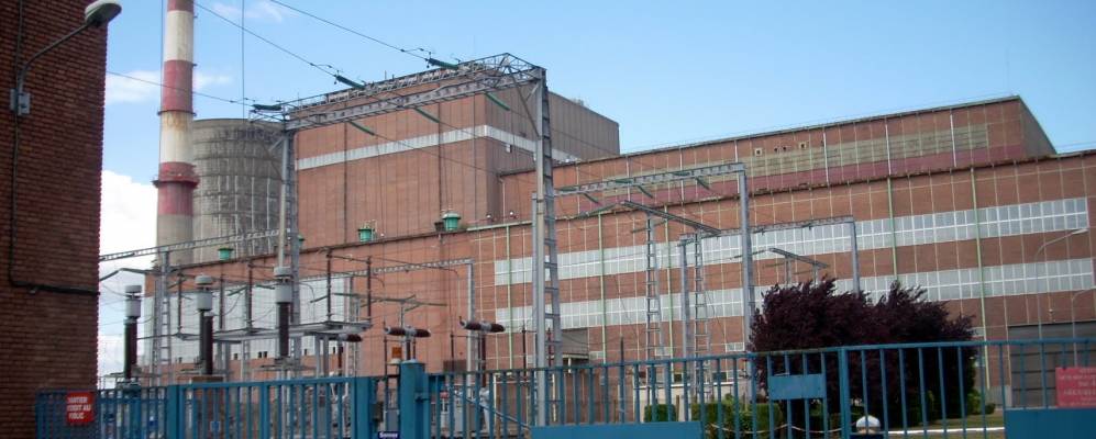 
            Фотография Элесма