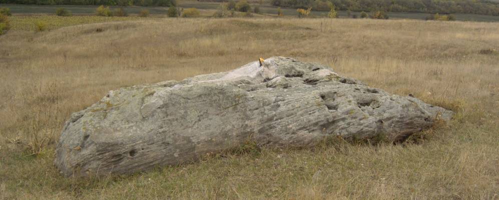 
            Фотография Николенкова