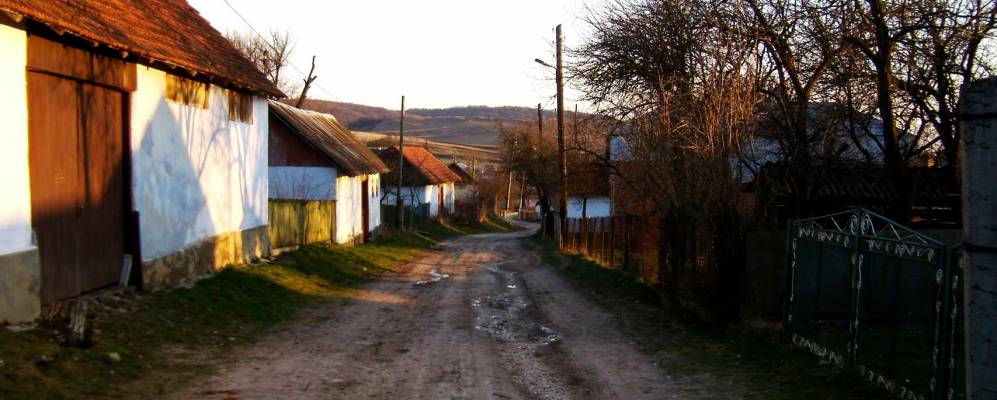 
            Фотография Добрынева