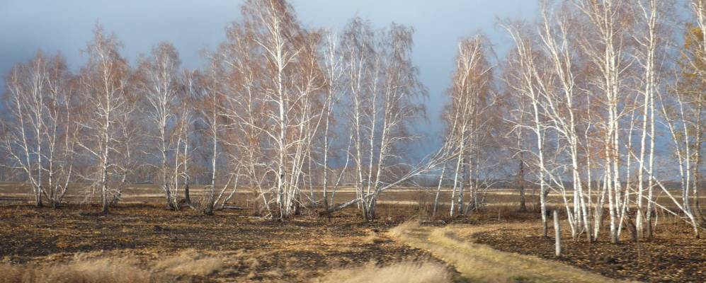 
            Фотография Сырьевки