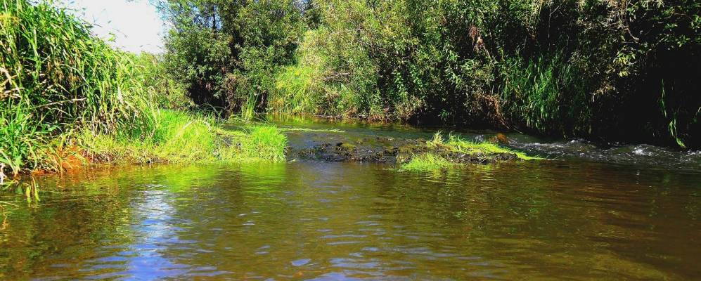 
            Фотография Поломки