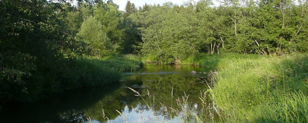 
            Фотография Киселёво