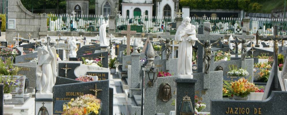 
            Фотография Валонго