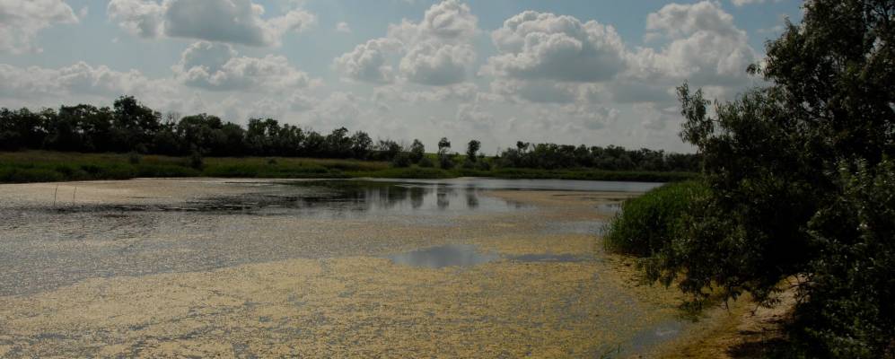 
            Фотография Голубовки