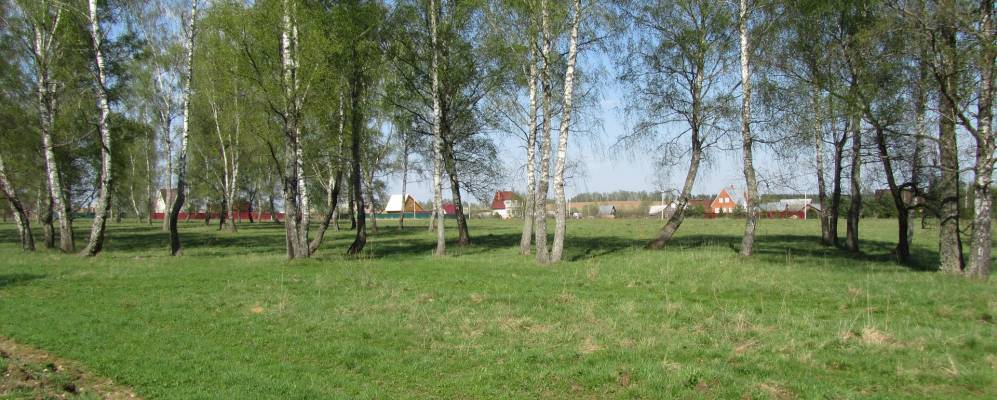 Фотография Тишнево