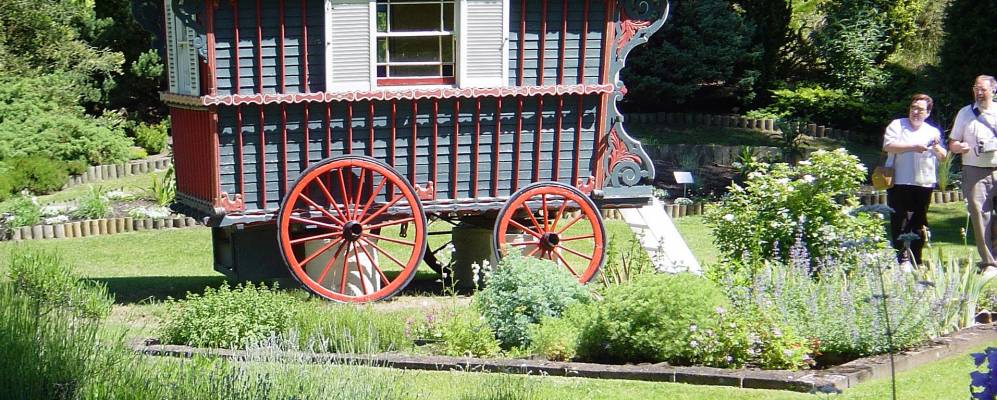 Фотография Джерси