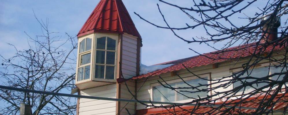 
            Фотография Сосенок