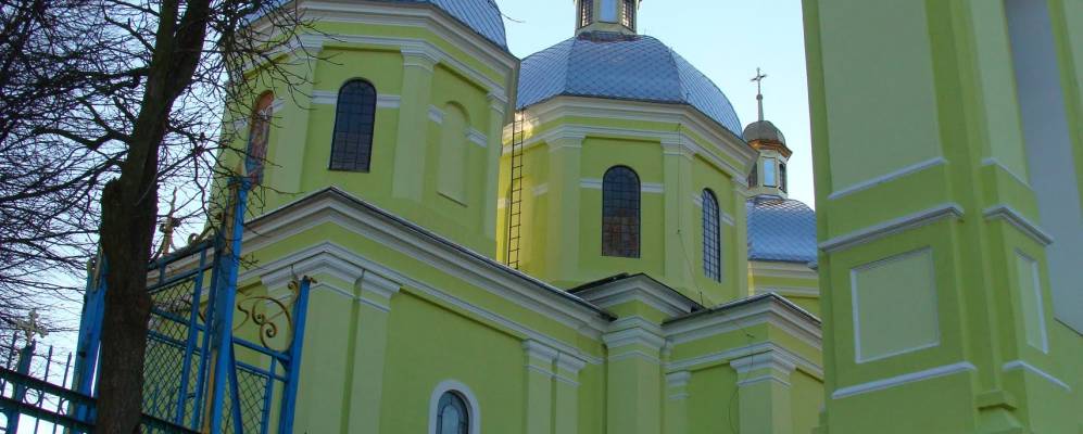 
            Фотография Зиболки