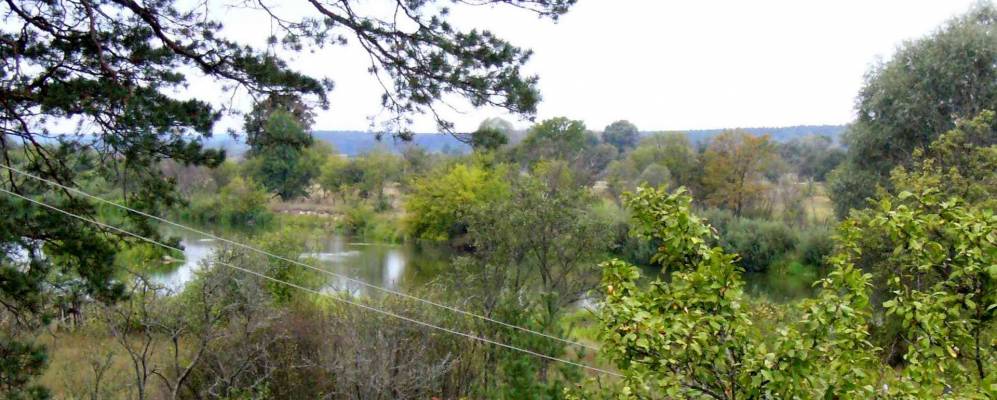 
            Фотография Блидча