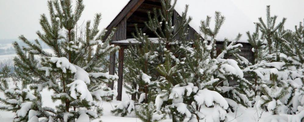 
            Фотография Павловки