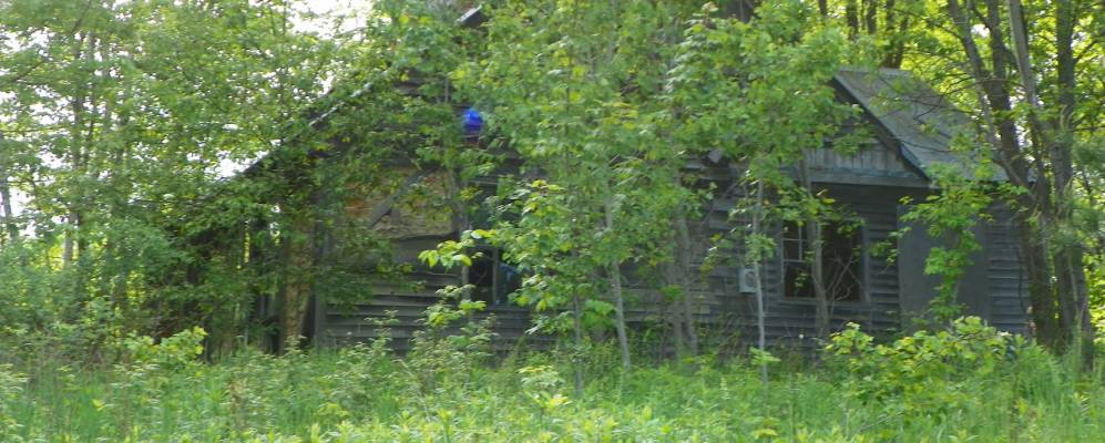 
            Фотография Ливермора