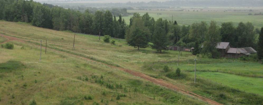 
            Фотография Пикулей