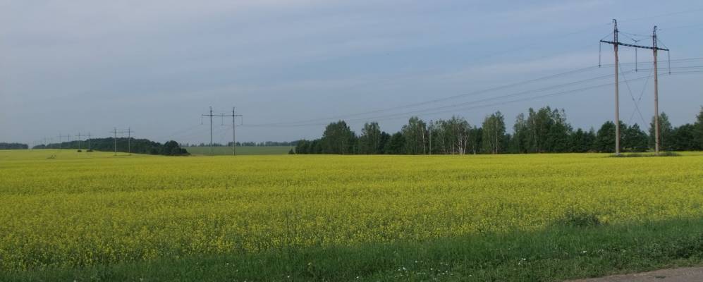 
            Фотография Нижней Мосоловки