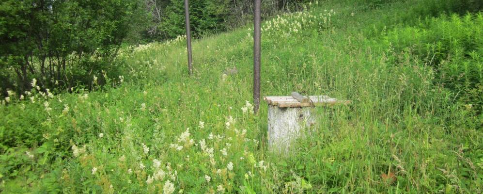 
            Фотография Кыжа