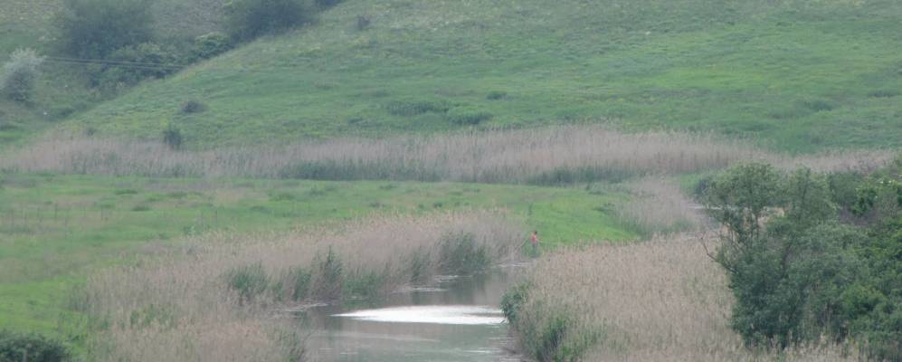 
            Фотография Котломина