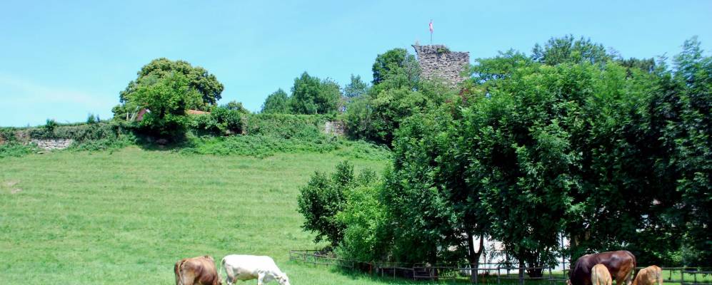 
            Фотография Райнека