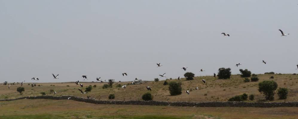 
            Фотография Буэнависта