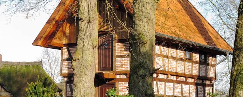 
            Фотография Ботель