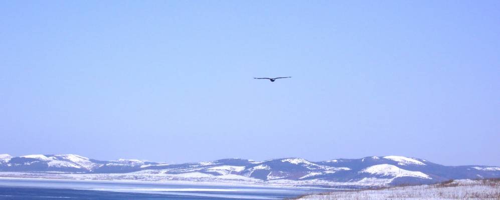 
            Фотография Черемшанки