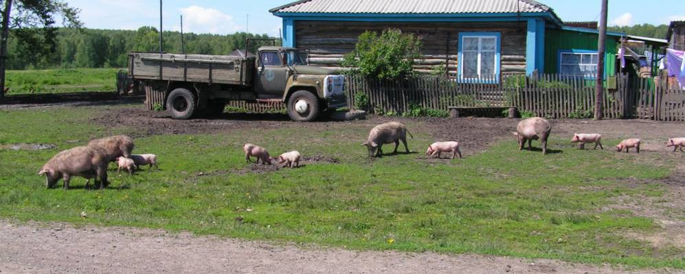 
            Фотография Прямушки