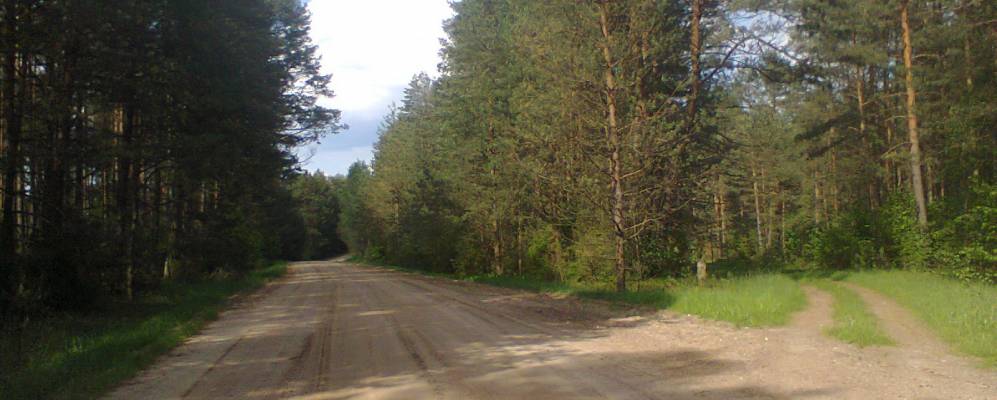 
            Фотография Студеницы