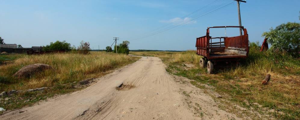 
            Фотография Боярской