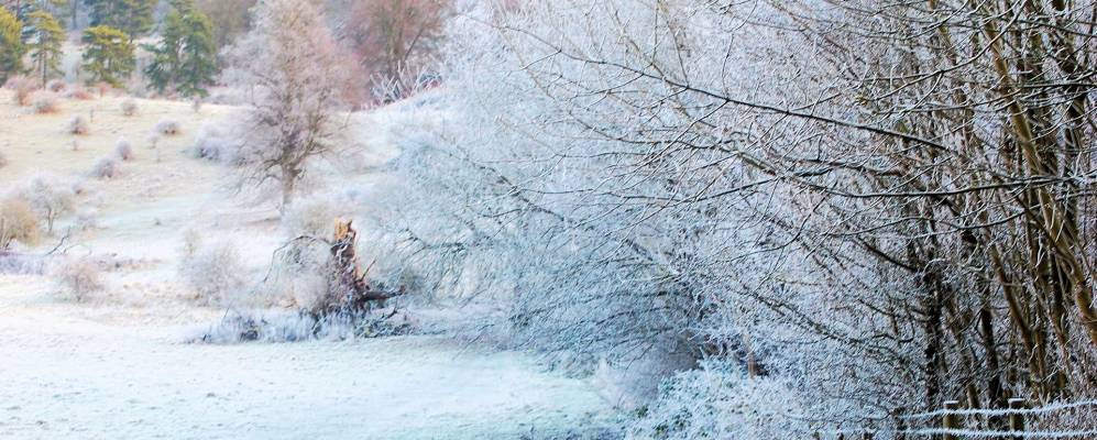 
            Фотография Тринга