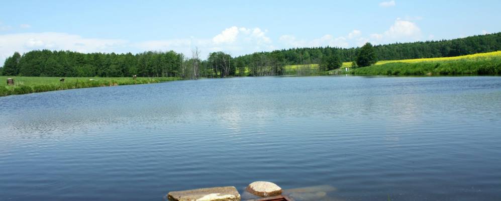 Фотография Гринкевичи