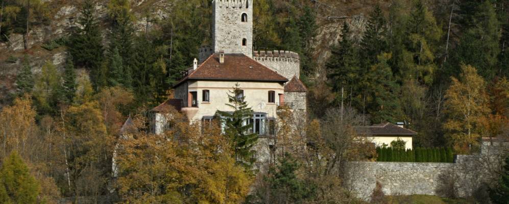 
            Фотография Мулеса