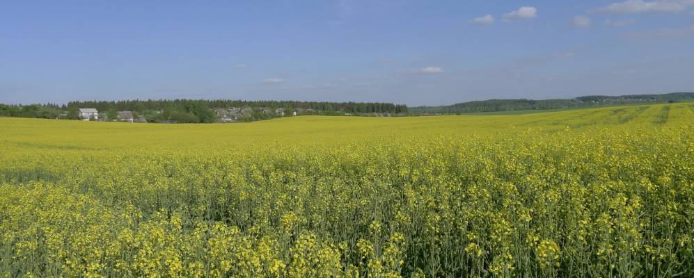
            Фотография деревни Ермаки