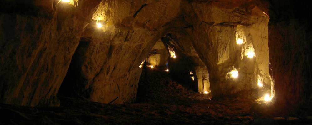 
            Фотография Борщово