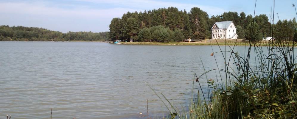 
            Фотография Дождев