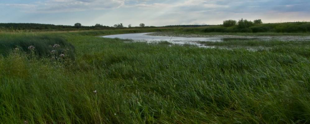 Фотография Ошманура